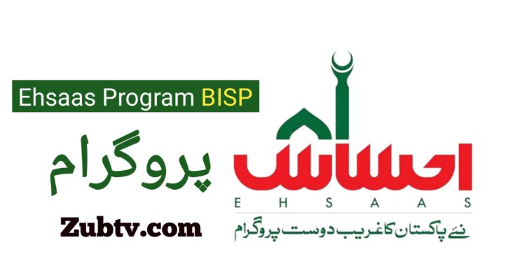 How to Join Ehsaas Program in 2024 Apply now