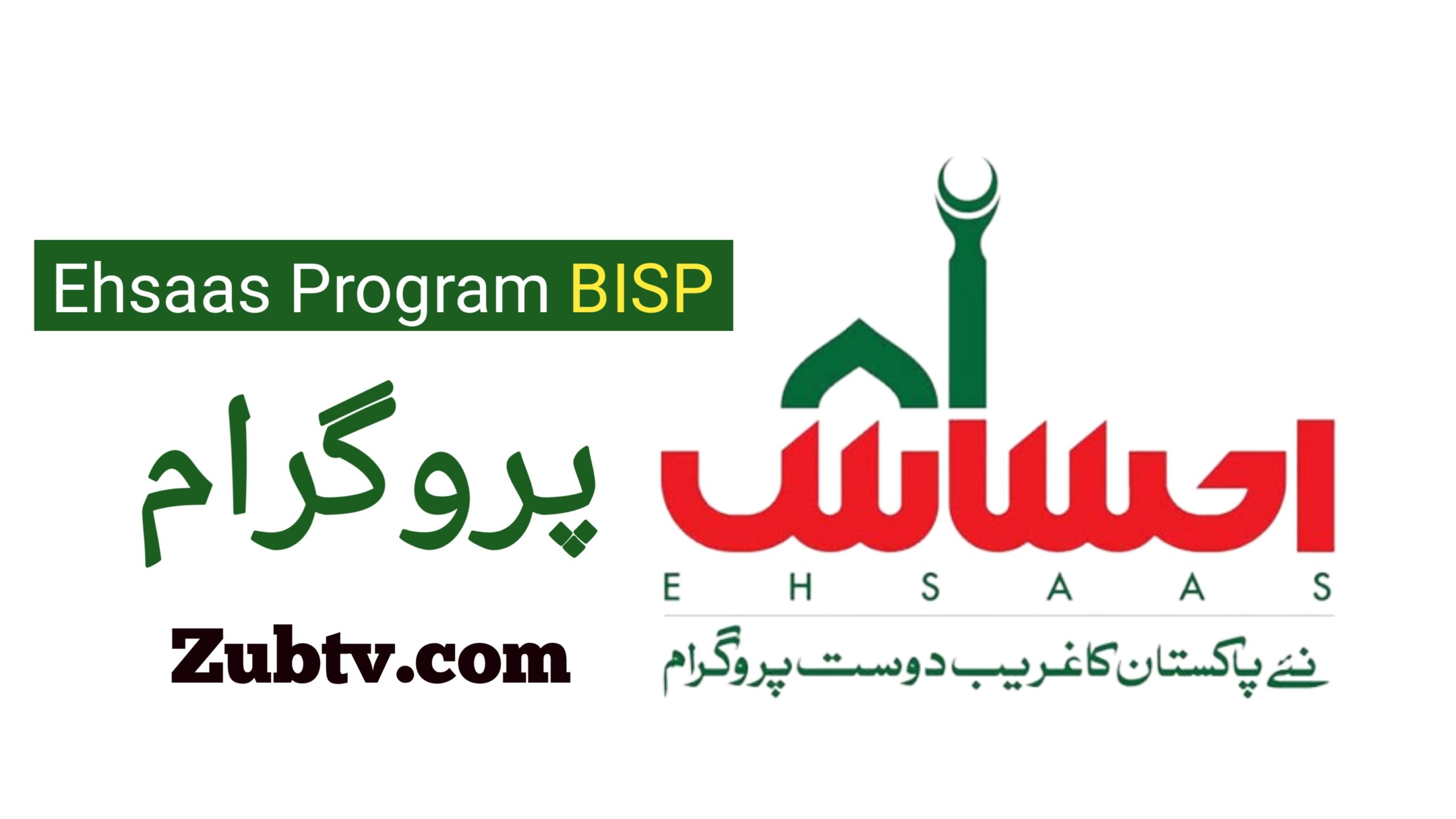 How to Join Ehsaas Program in 2024 Apply now